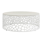 Oasis- Coastal Living Home Collection Coral Cocktail Table by Universal Furniture at ZIN Home
