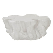 Oasis- Coastal Living Home Collection Cliffside Cocktail Table by Universal Furniture at ZIN Home