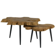 Oasis- Coastal Living Home Collection Driftwood Nesting Tables by Universal Furniture at ZIN Home