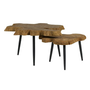 Oasis- Coastal Living Home Collection Driftwood Nesting Tables by Universal Furniture at ZIN Home