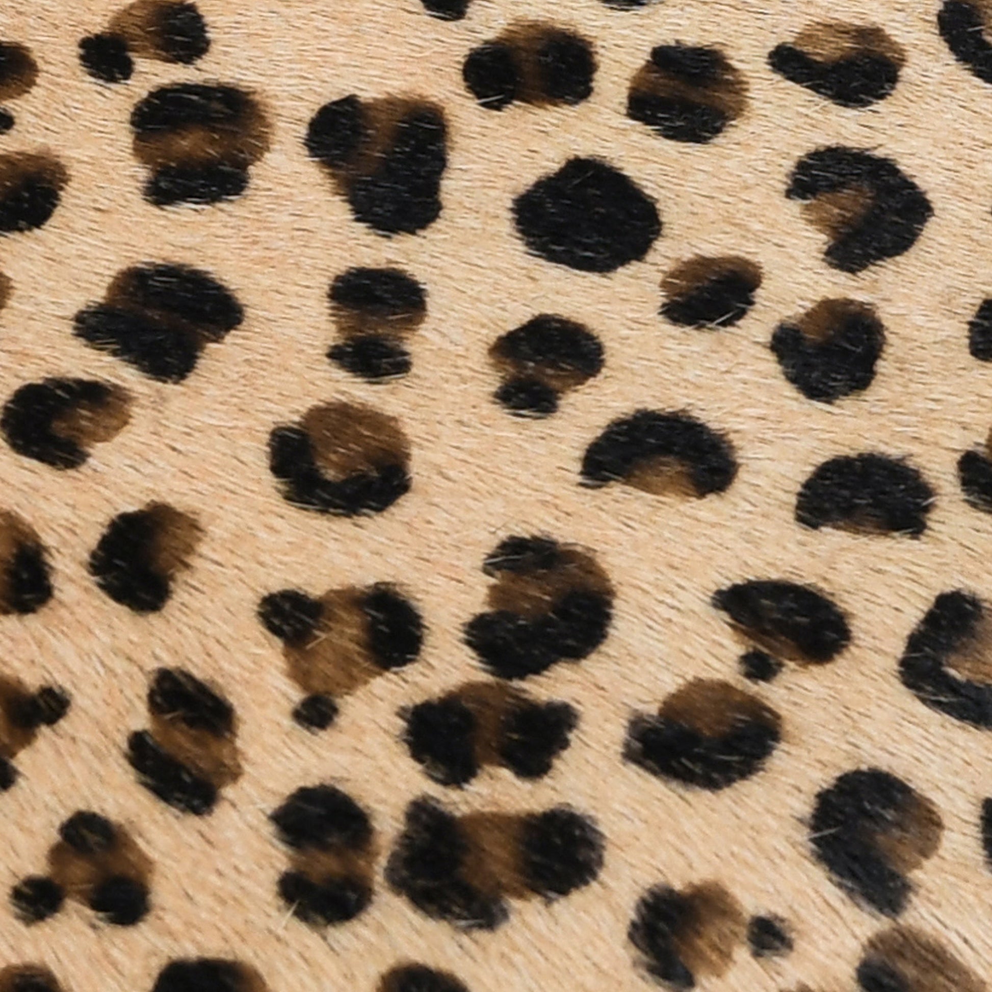 DV Leopard Hide Multiple Sizes - Camel/Black - 20"x20"