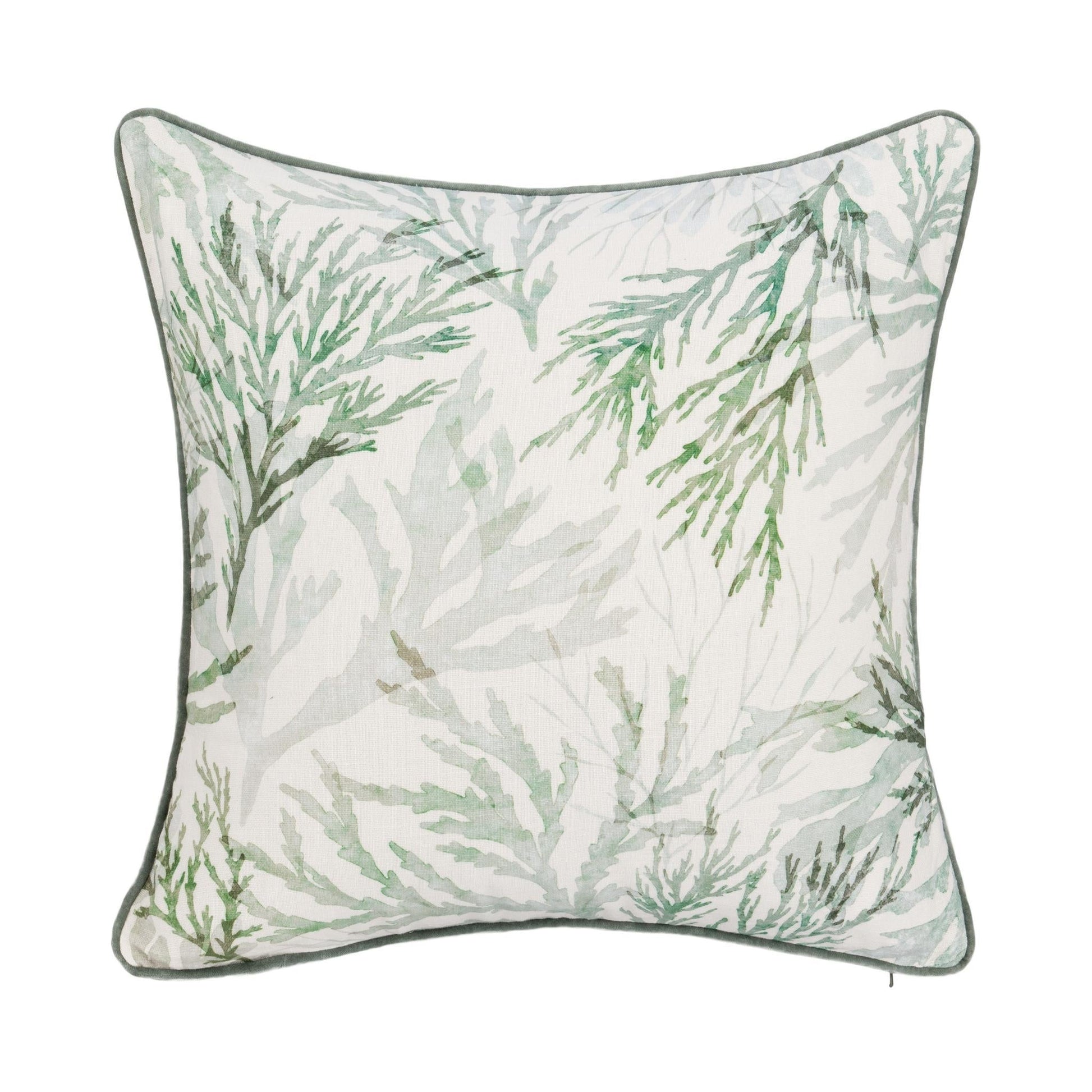 TQ Lessonia 22x22 - Green
