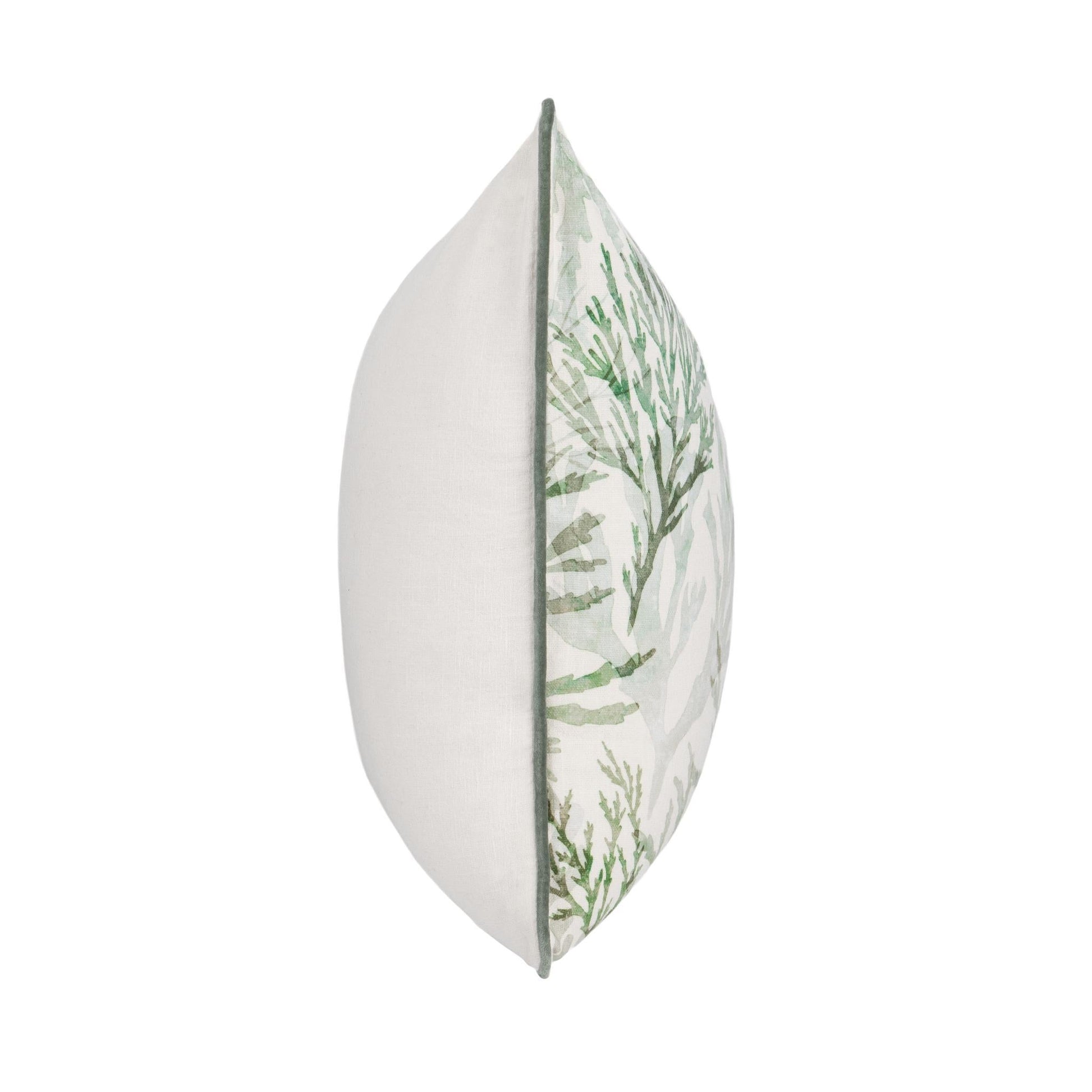 TQ Lessonia 22x22 - Green