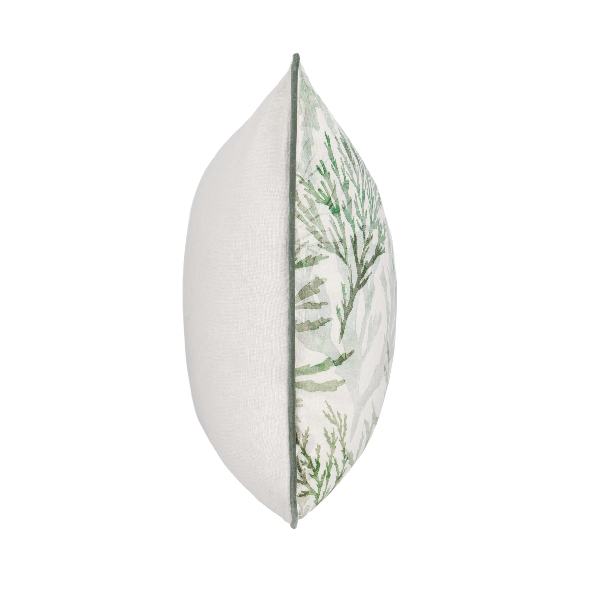 TQ Lessonia 22x22 - Green