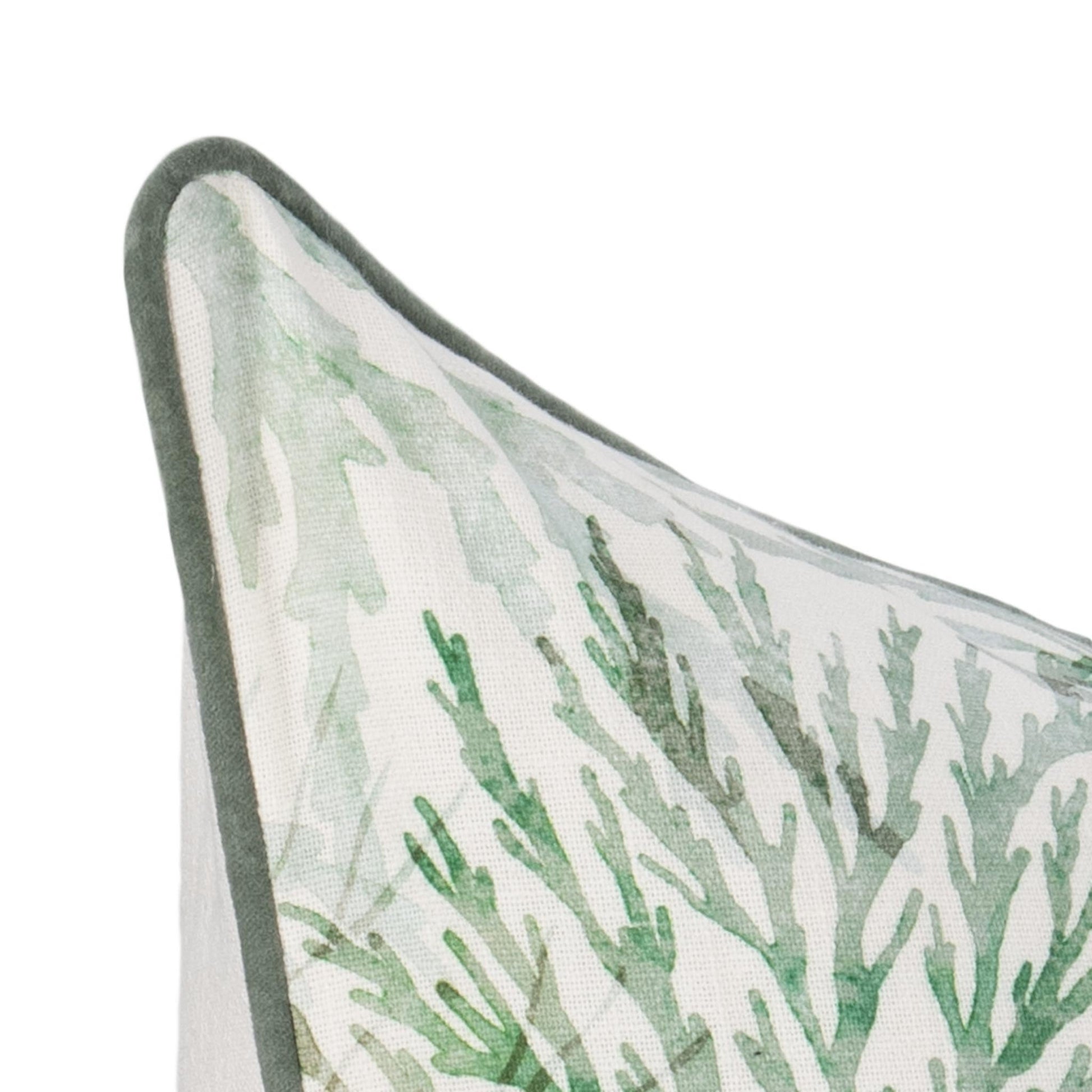 TQ Lessonia 22x22 - Green