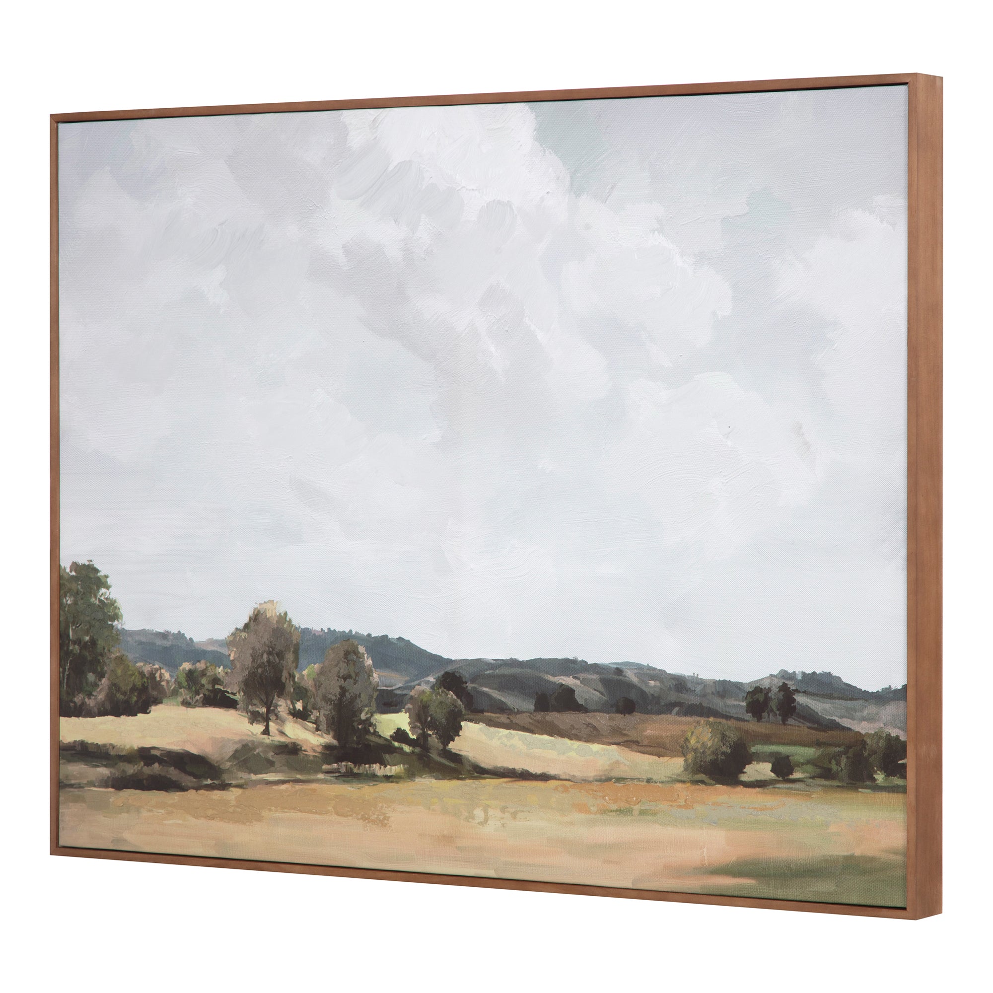 Vast Country Framed Painting by Moe's Home Collection - view 2