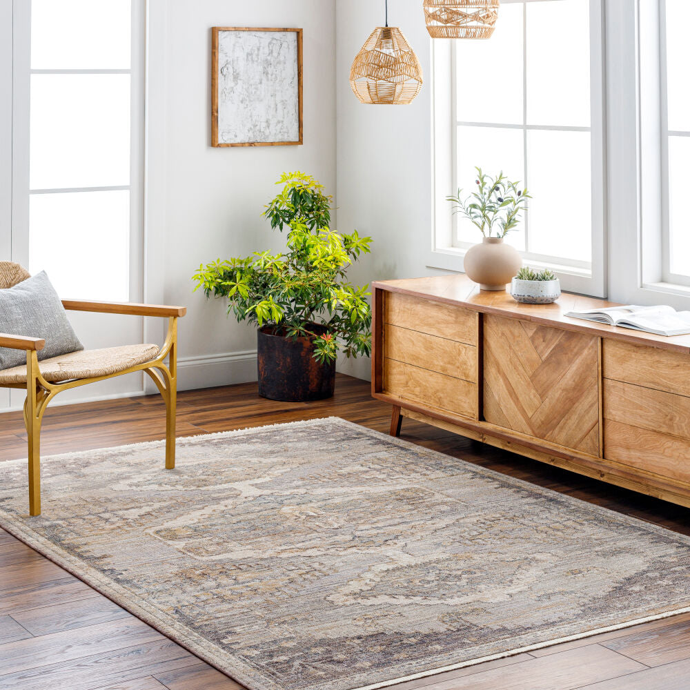 Aida Beige/Tan Machine Woven Rug AAD-2303 - roomscene