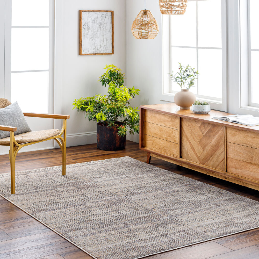 Aida Beige/Tan Machine Woven Rug AAD-2304 - roomscene