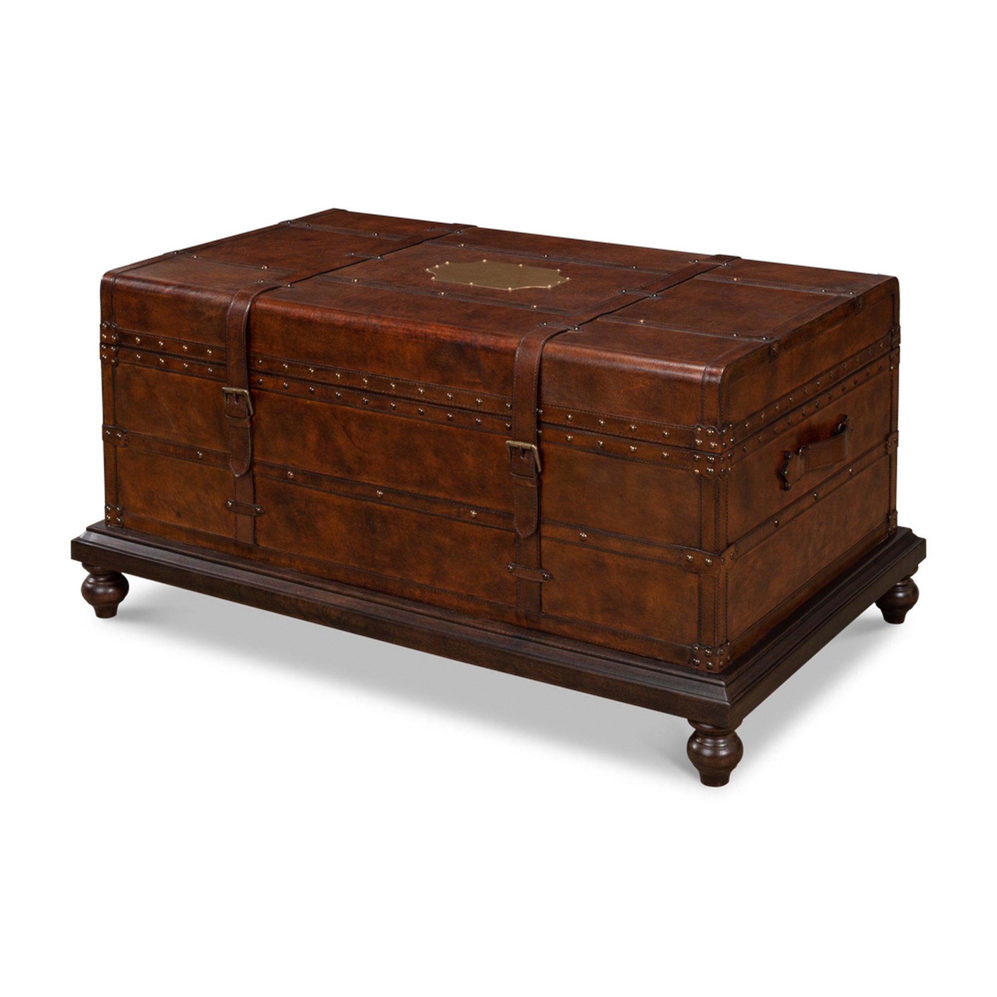 Laramie Trunk Coffee Table by Sarreid Ltd