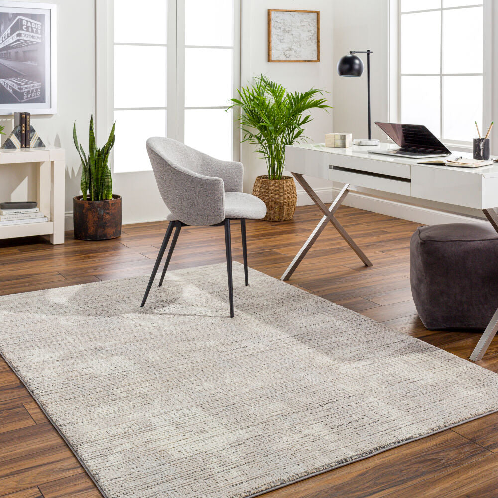 Alder Charcoal/Taupe Machine Woven Rug ALD-2309 - roomscene