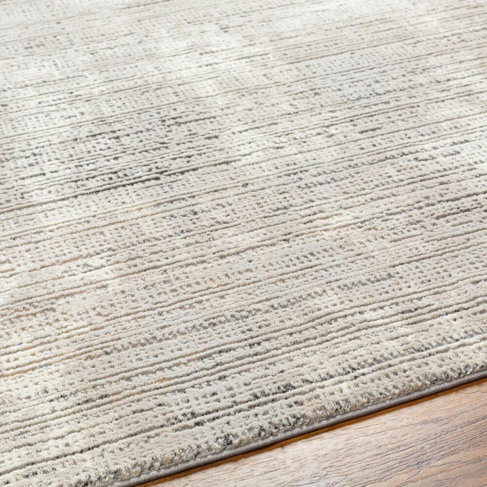 Alder Charcoal/Taupe Machine Woven Rug ALD-2309 - texture