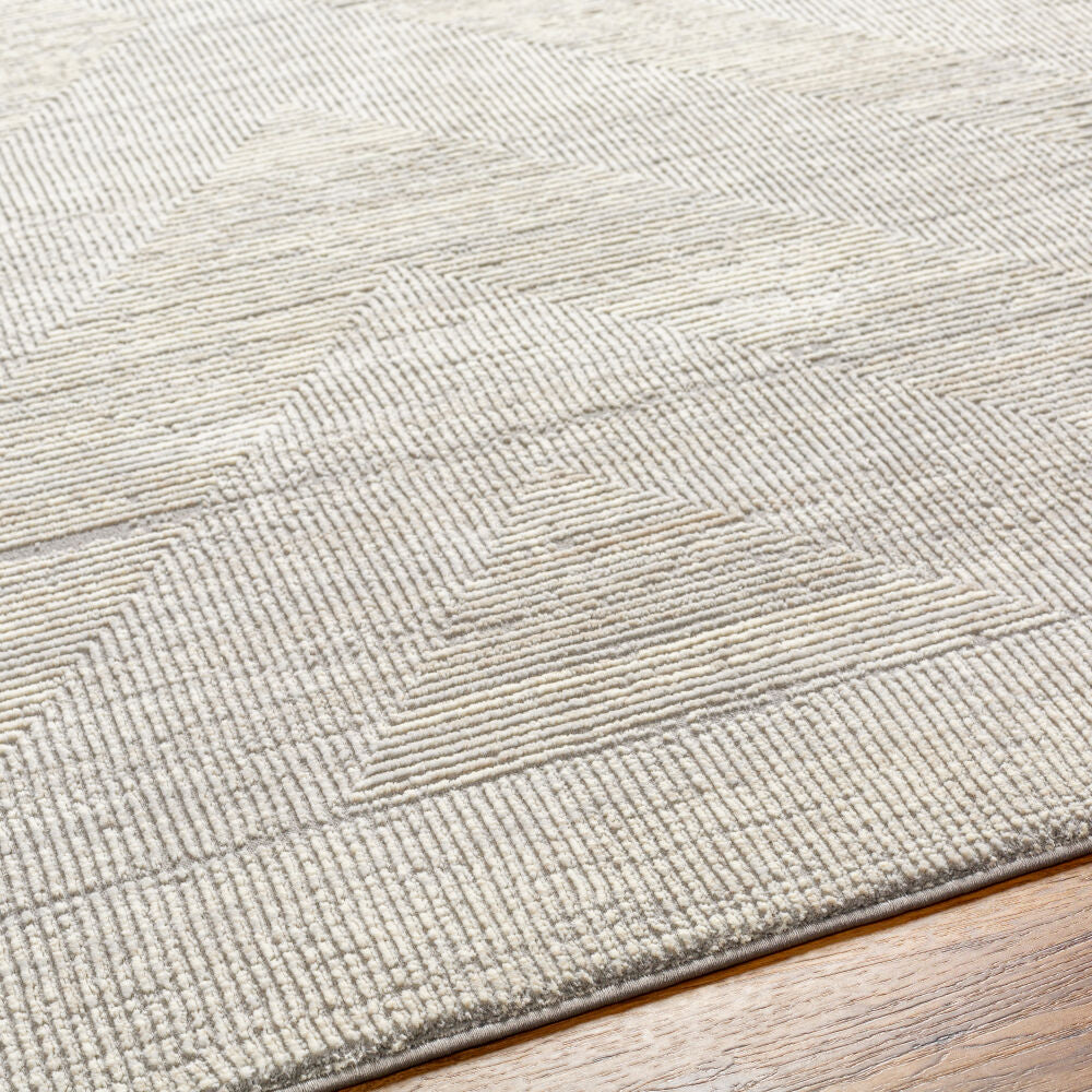 Alder Cream/Taupe Machine Woven Rug ALD-2311 - texture