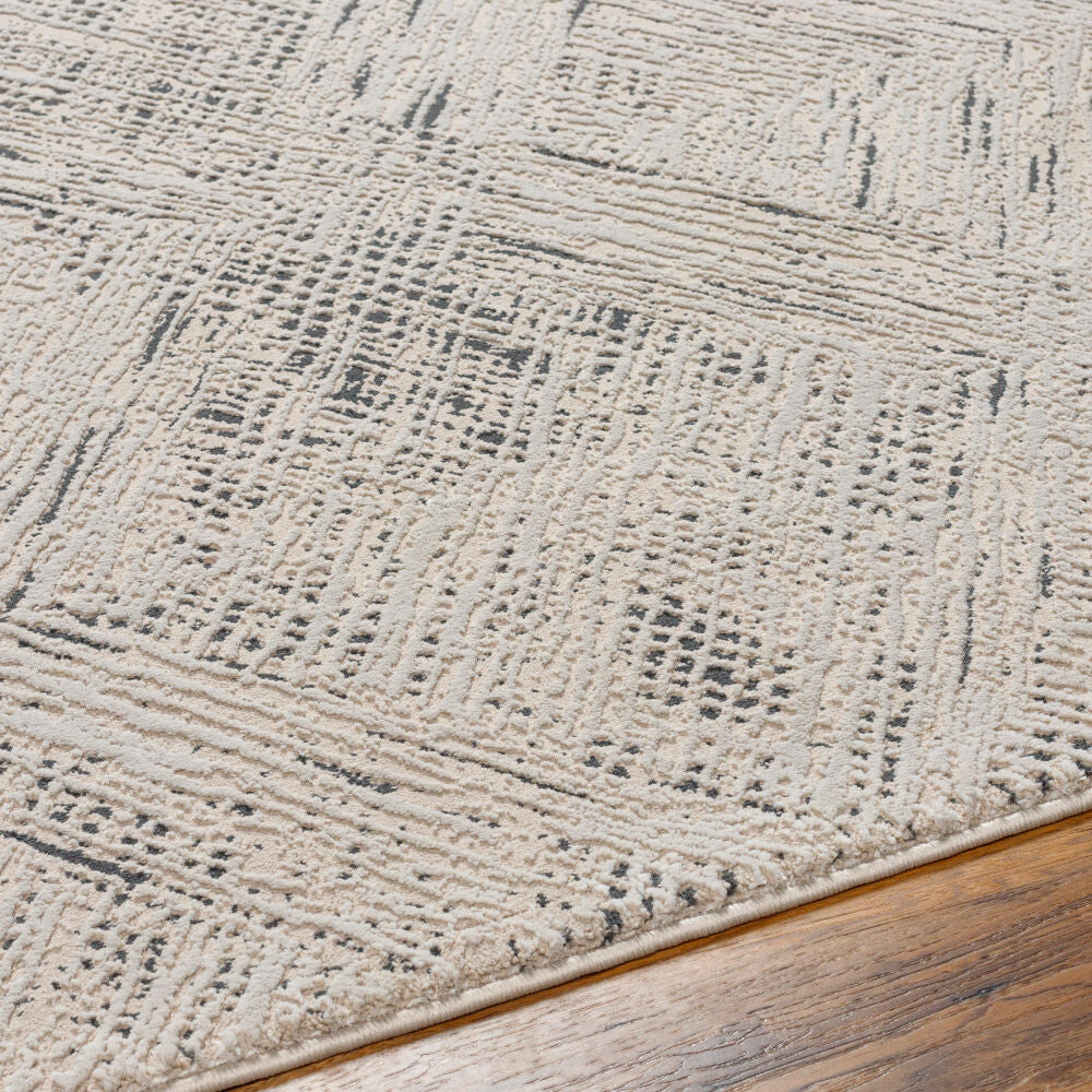 Alder Black/Taupe Machine Woven Rug - texture