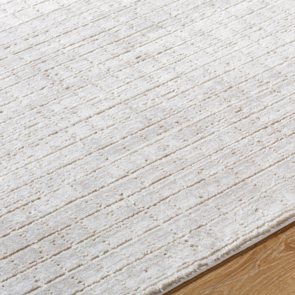 Alder Cream/Taupe Machine Woven Rug ALD-2322 - texture