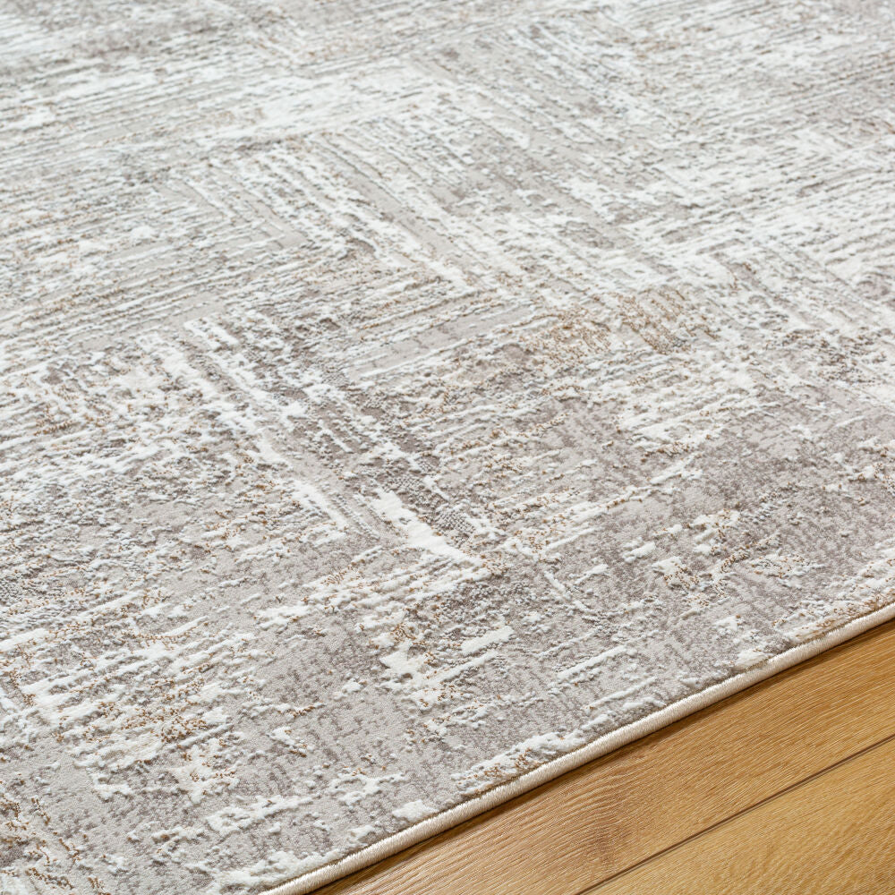 Allegro Ivory/Tan Machine Woven Rug ALG-2320 - texture