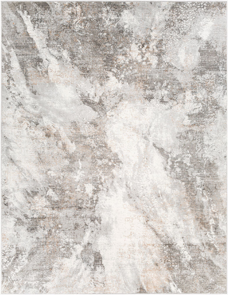 Allegro Charcoal/Tan Machine Woven Rug ALG-2336 - 5'3" x 7'