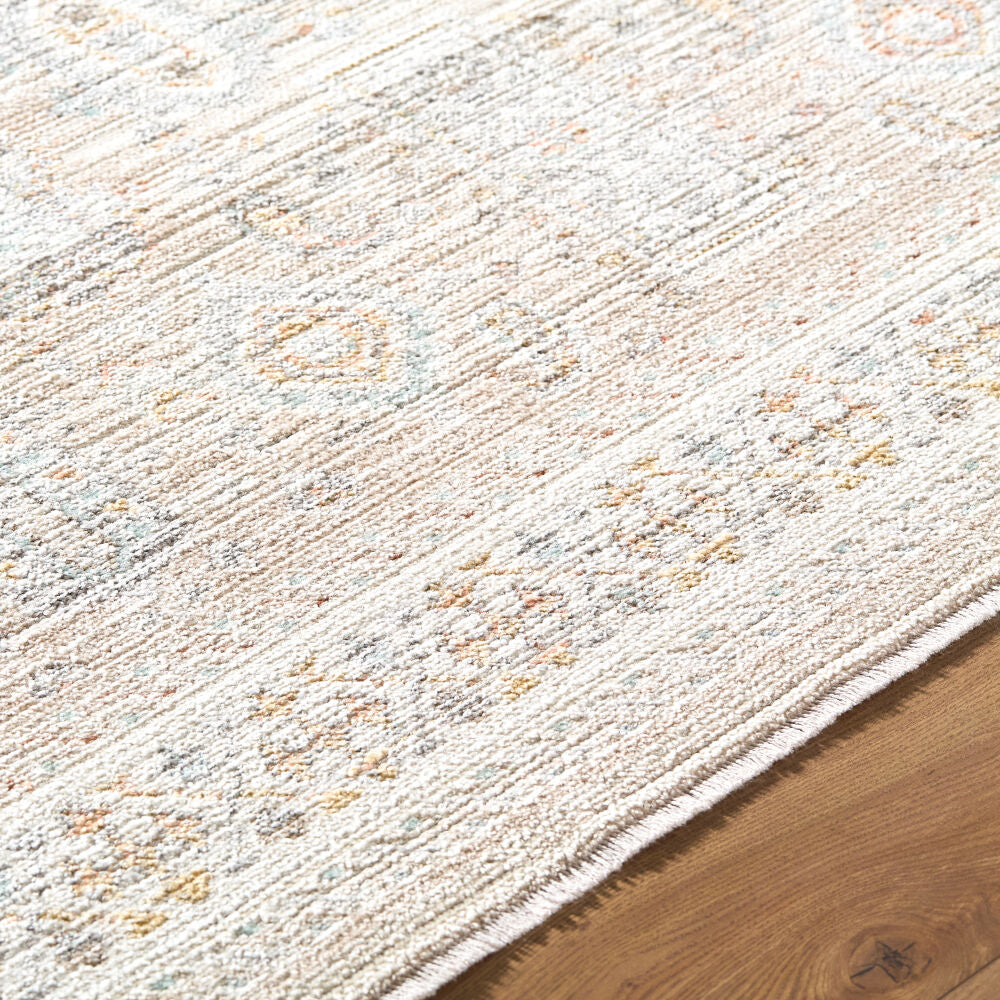 Amir Beige/Sky Blue Machine Woven Rug AMR-2300 - texture