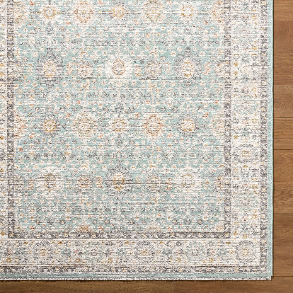 Amir Beige/Sky Blue Machine Woven Rug AMR-2304 - overhead