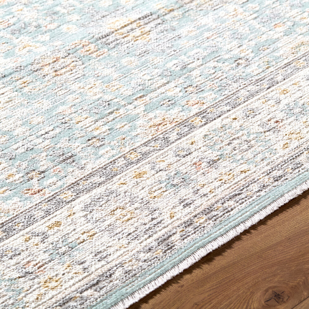 Amir Beige/Sky Blue Machine Woven Rug AMR-2304 - texture