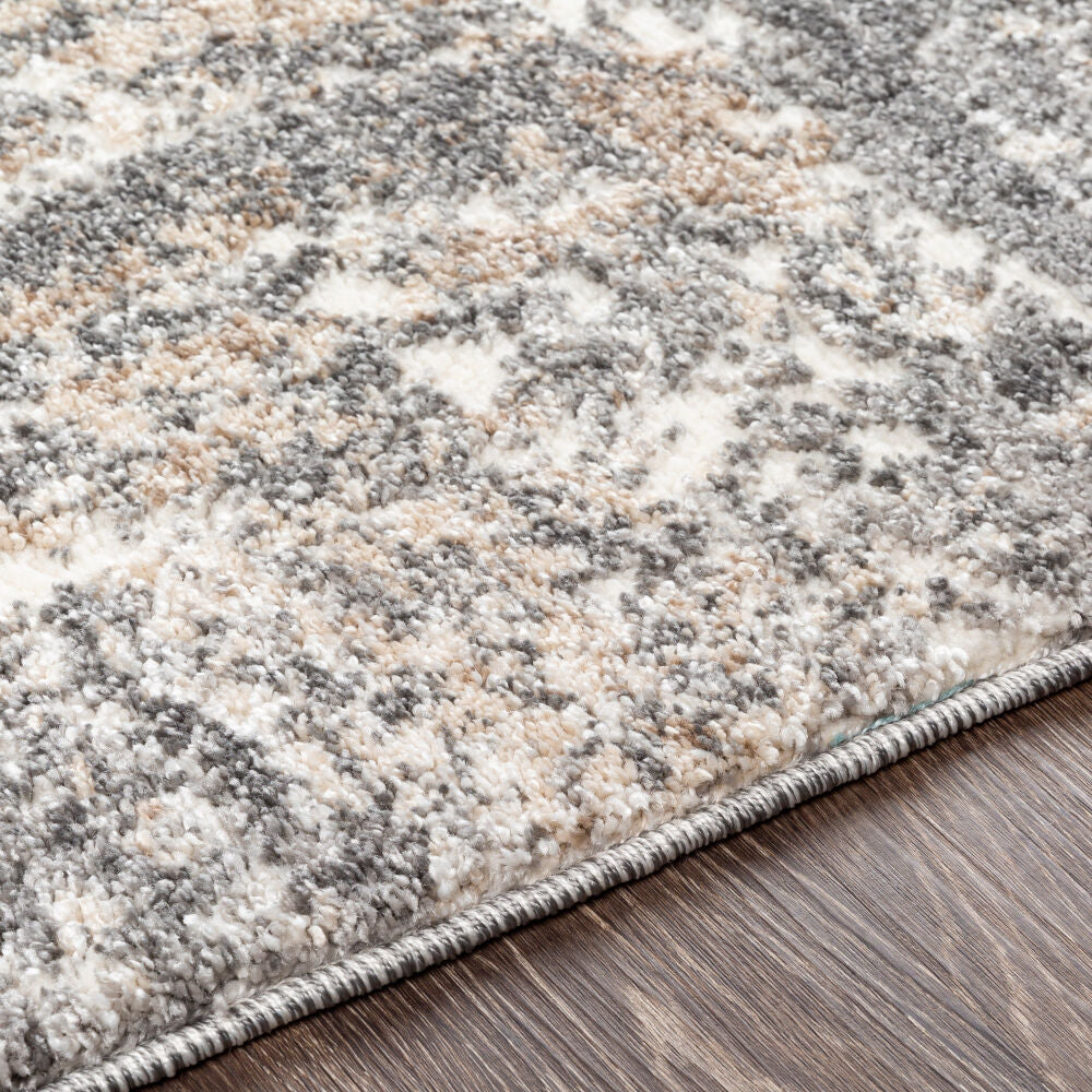 Andorra Beige/Off-White Machine Woven Rug ARD-2302 - texture