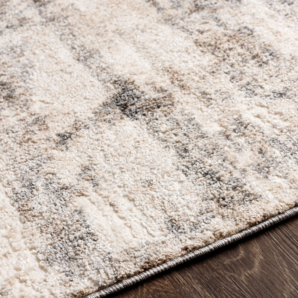 Andorra Beige/Off-White Machine Woven Rug ARD-2305 - texture