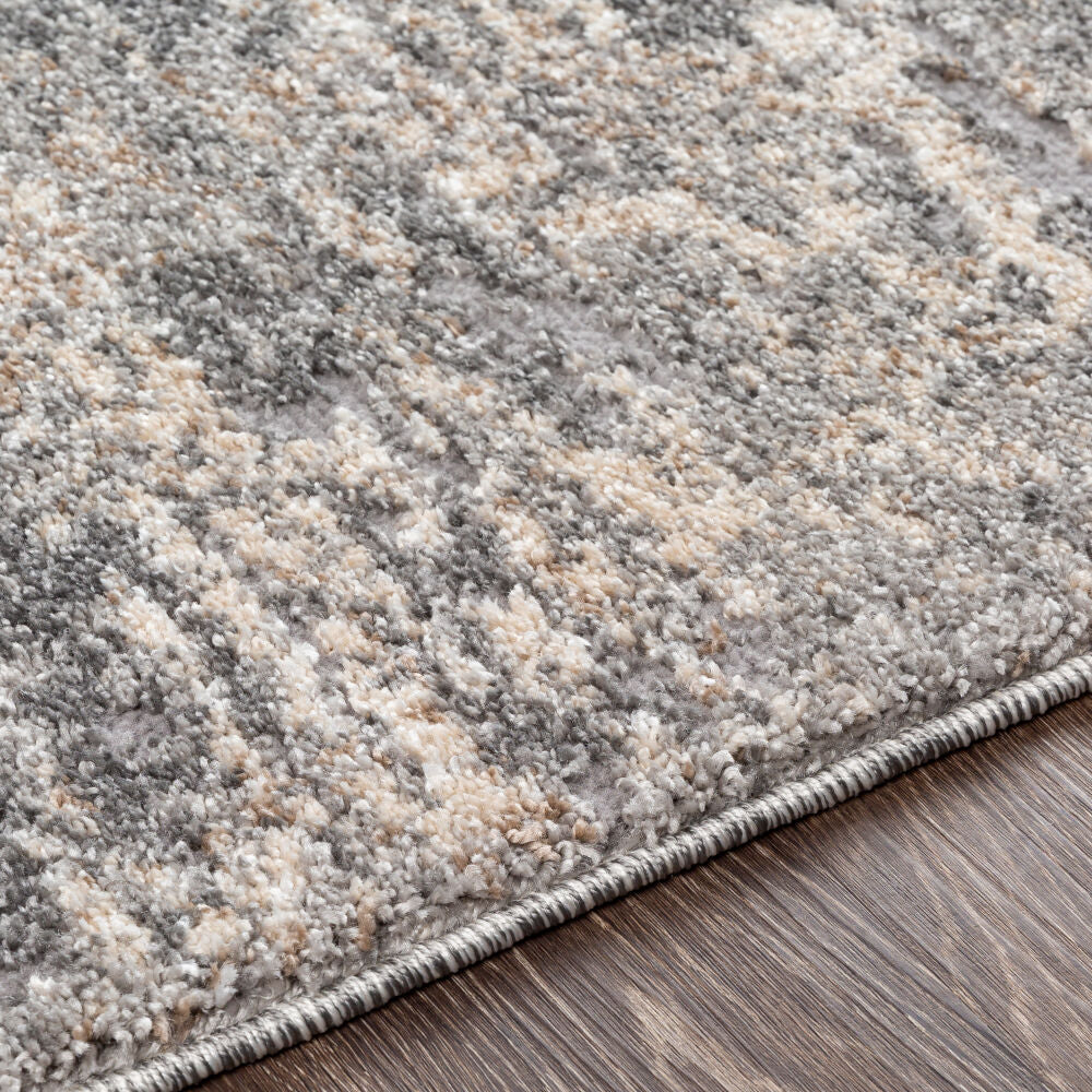 Andorra Beige/Off-White Machine Woven Rug ARD-2306 - texture