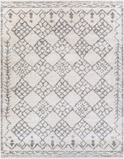 Andorra Beige/Off-White Machine Woven Rug ARD-2307 - 2' x 2'11"