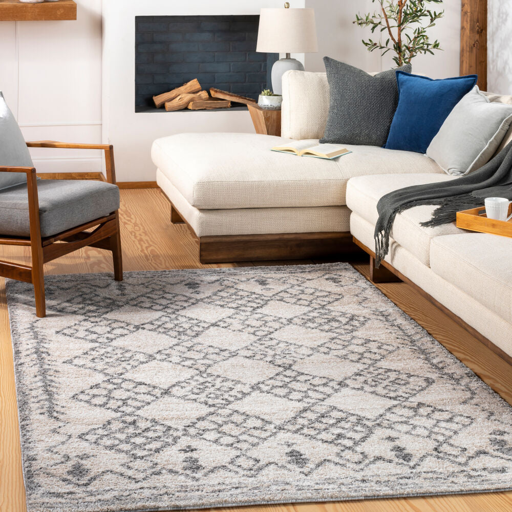 Andorra Beige/Off-White Machine Woven Rug ARD-2307 - roomscene