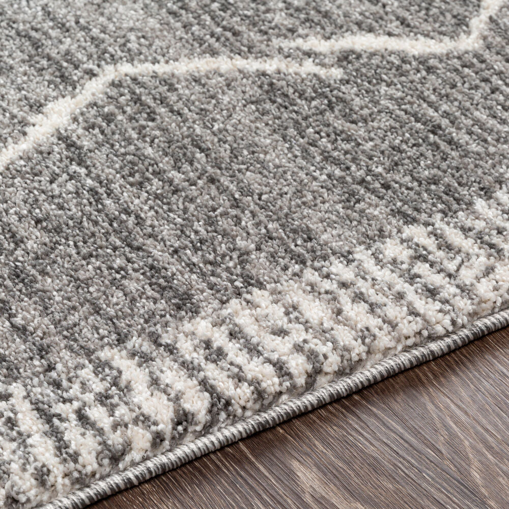 Andorra Charcoal/Off-White Machine Woven Rug - texture