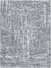 Andorra Plus Charcoal/Light Gray Machine Woven Rug - 2' x 2'11"