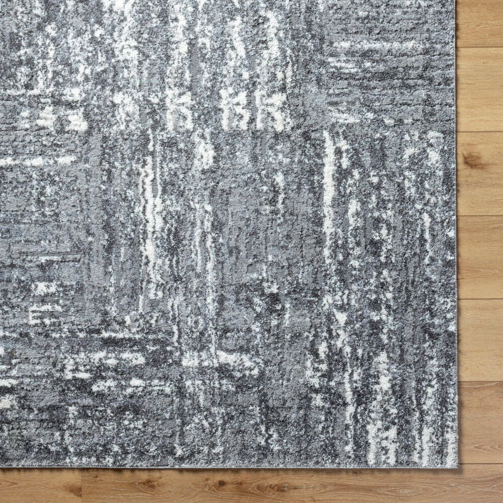 Andorra Plus Charcoal/Light Gray Machine Woven Rug - overhead
