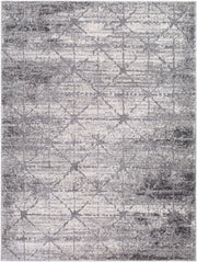 Andorra Plus Black/Light Gray Machine Woven Rug ARP-2307 - 2' x 2'11"