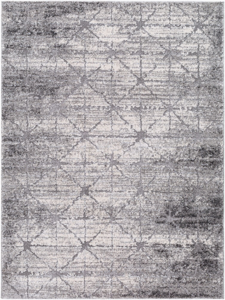 Andorra Plus Black/Light Gray Machine Woven Rug ARP-2307 - 2' x 2'11"