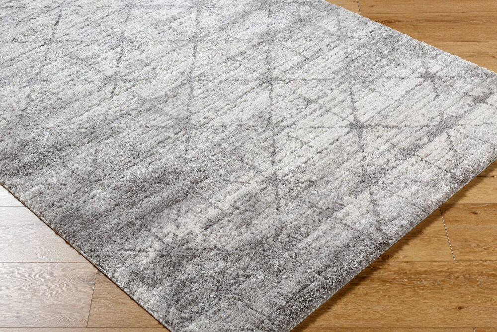 Andorra Plus Black/Light Gray Machine Woven Rug ARP-2307 - corner