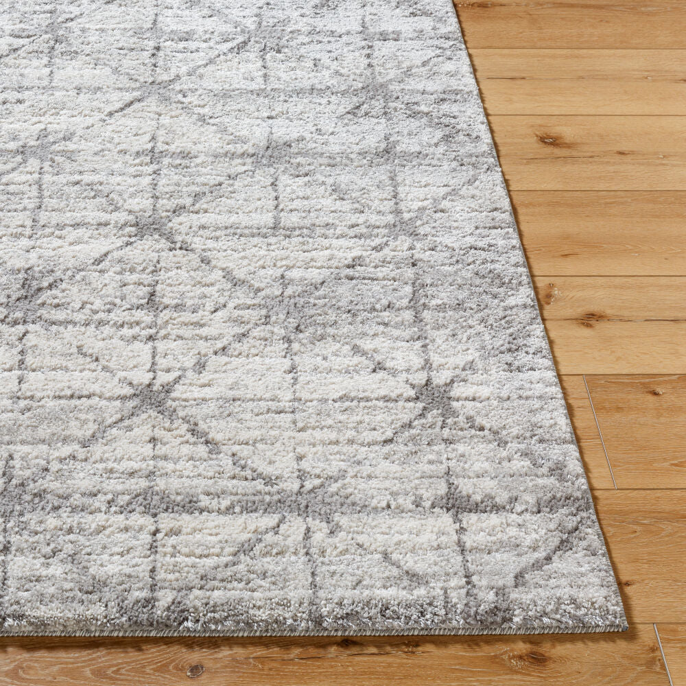 Andorra Plus Black/Light Gray Machine Woven Rug ARP-2307 - front