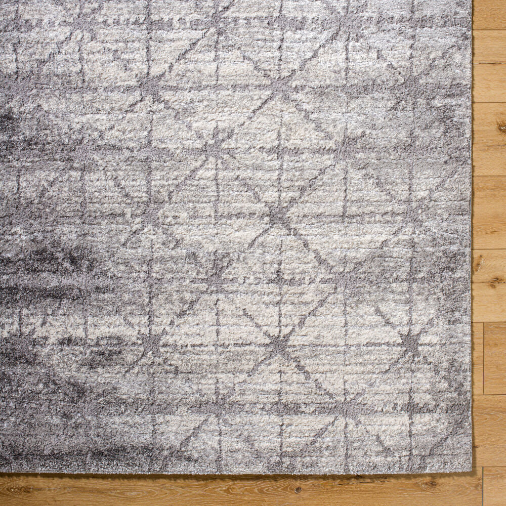Andorra Plus Black/Light Gray Machine Woven Rug ARP-2307 - overhead