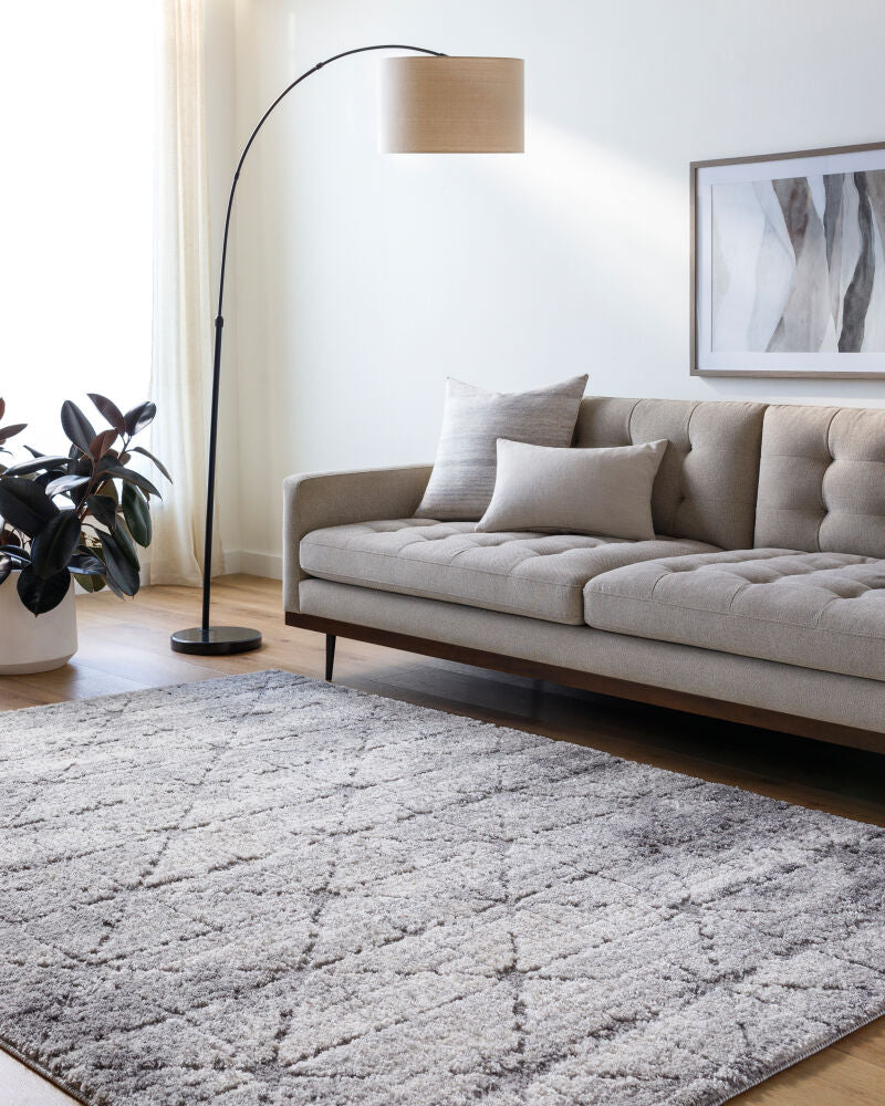 Andorra Plus Black/Light Gray Machine Woven Rug ARP-2307 - roomscene