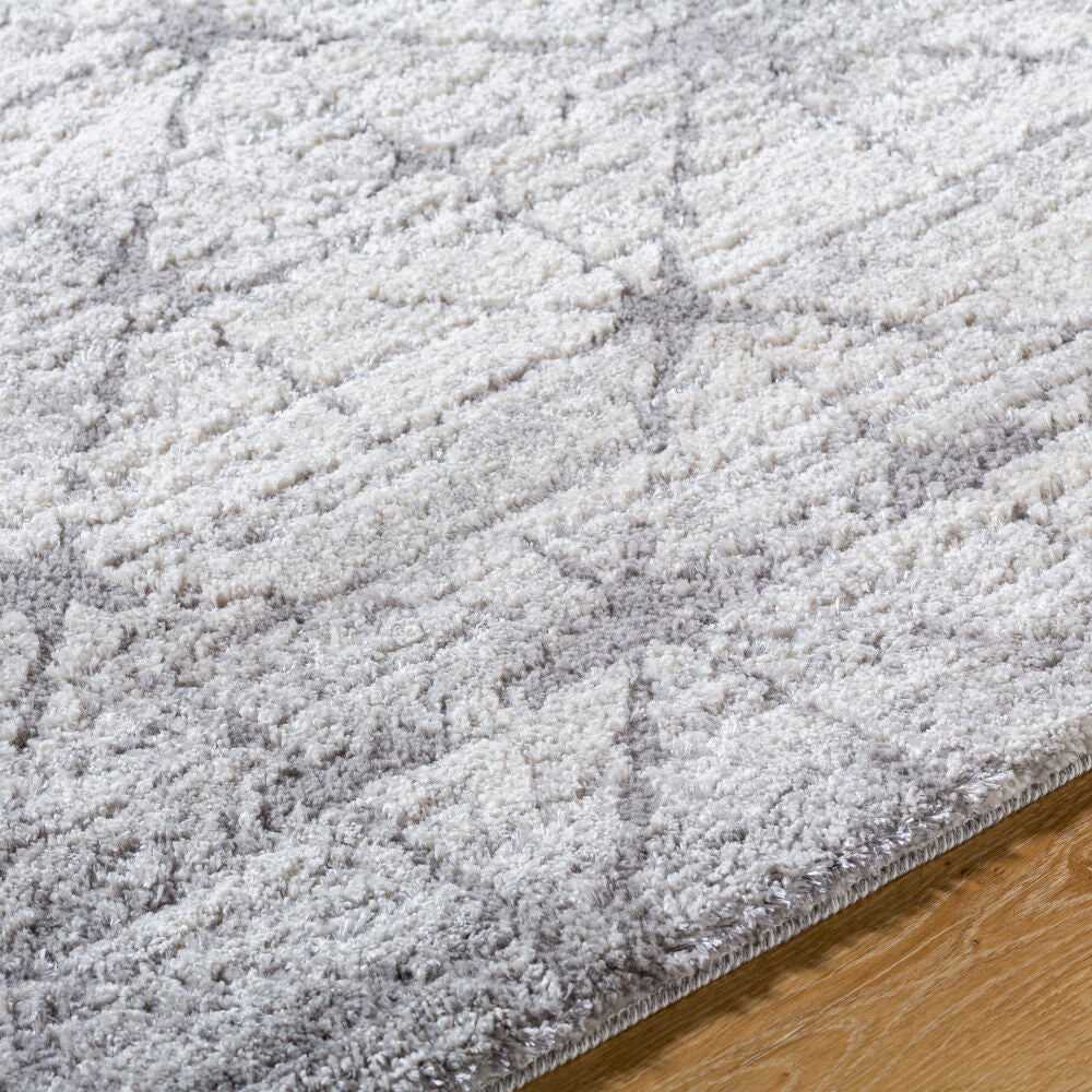 Andorra Plus Black/Light Gray Machine Woven Rug ARP-2307 - texture