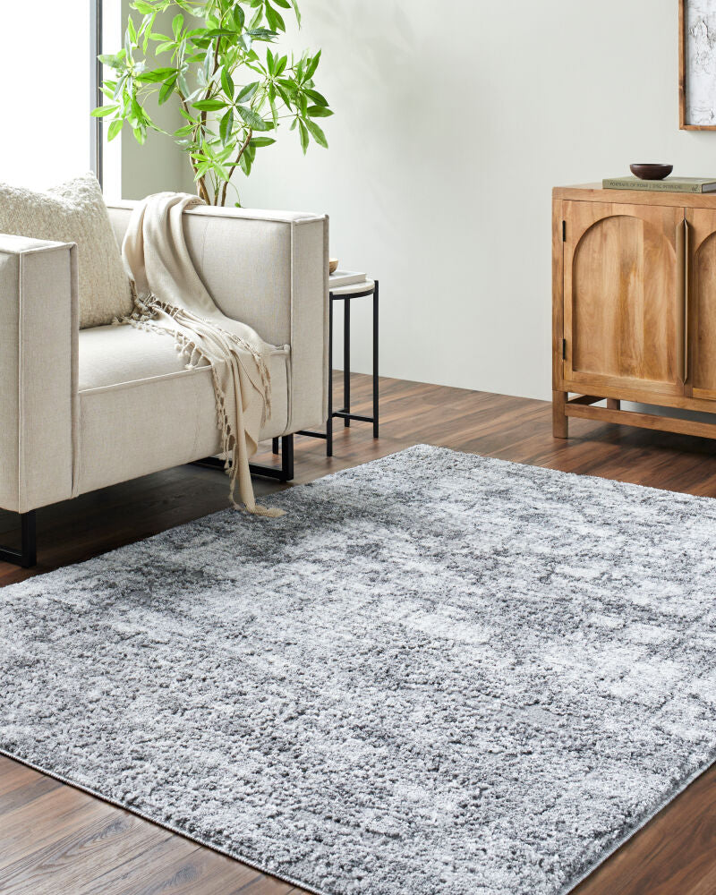 Andorra Plus Black/Light Gray Machine Woven Rug ARP-2308 - roomscene
