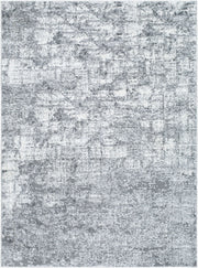 Andorra Plus Black/Light Gray Machine Woven Rug ARP-2308 - 2' x 2'11"