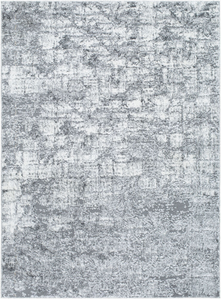 Andorra Plus Black/Light Gray Machine Woven Rug ARP-2308 - 2' x 2'11"