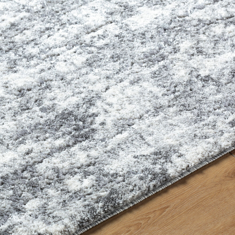 Andorra Plus Black/Light Gray Machine Woven Rug ARP-2308 - texture