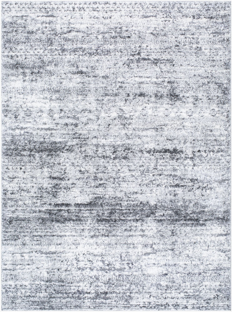 Andorra Plus Black/Light Gray Machine Woven Rug ARP-2311 - 2' x 2'11"