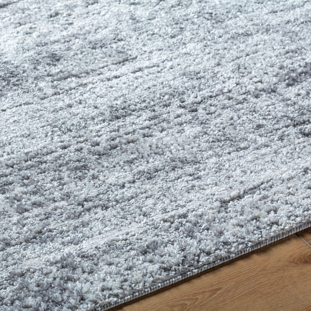 Andorra Plus Black/Light Gray Machine Woven Rug ARP-2311 - texture