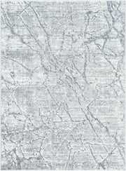 Andorra Plus Black/Light Gray Machine Woven Rug ARP-2313 - 2' x 2'11"
