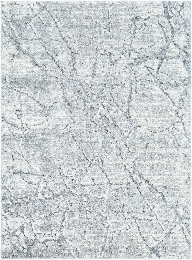 Andorra Plus Black/Light Gray Machine Woven Rug ARP-2313 - 2' x 2'11"