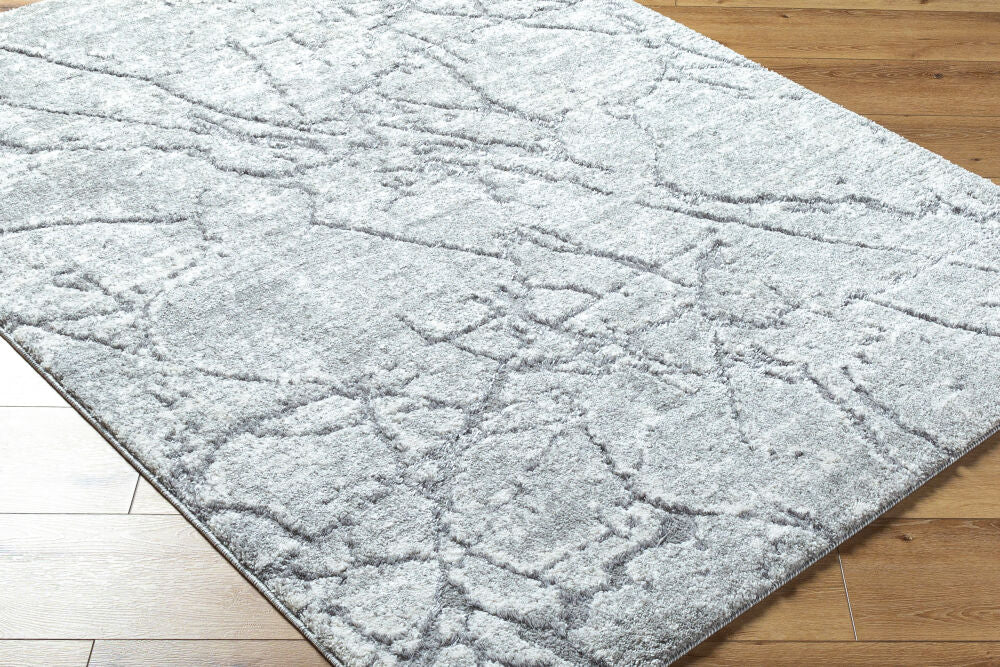 Andorra Plus Black/Light Gray Machine Woven Rug ARP-2313 - corner