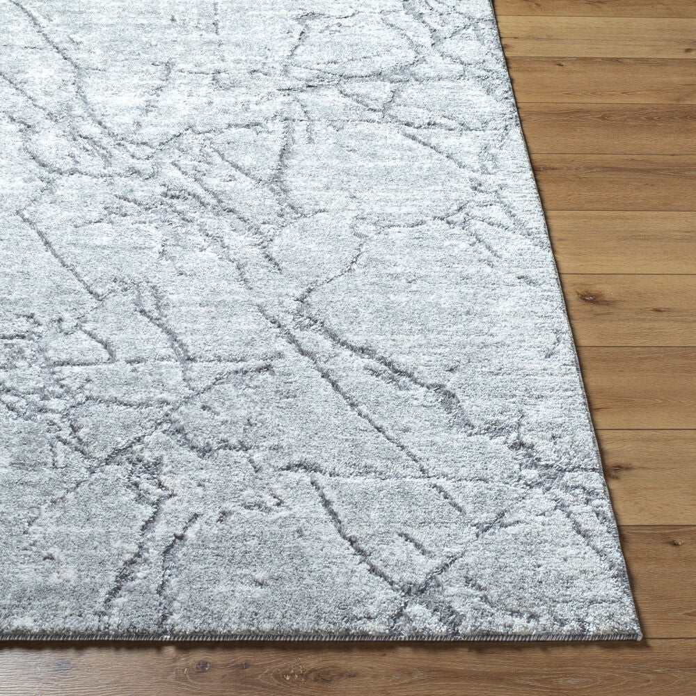 Andorra Plus Black/Light Gray Machine Woven Rug ARP-2313 - front
