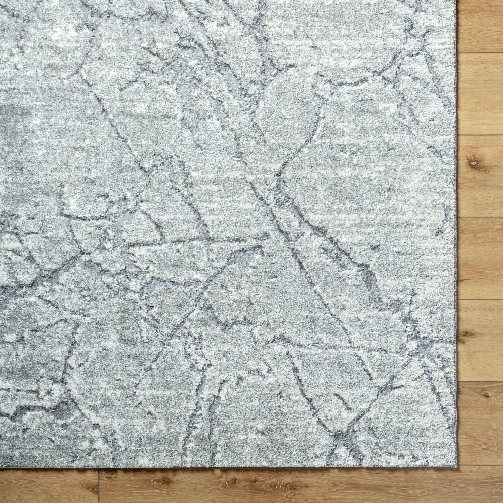 Andorra Plus Black/Light Gray Machine Woven Rug ARP-2313 - overhead