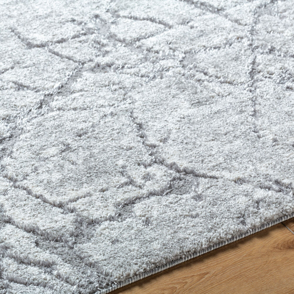 Andorra Plus Black/Light Gray Machine Woven Rug ARP-2313 - texture